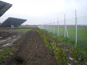 Bilder_19.02.2011 001.jpg