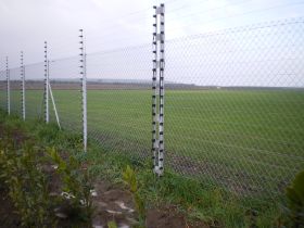 Bilder_19.02.2011 002.jpg